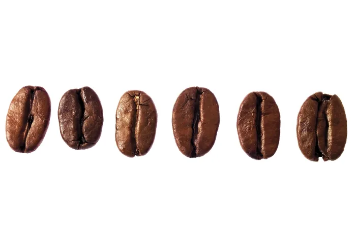 Gerahmter Druck : Kaffeebohnen in Reihenfolge Gerahmter Druck : Kaffeebohnen in Reihenfolge