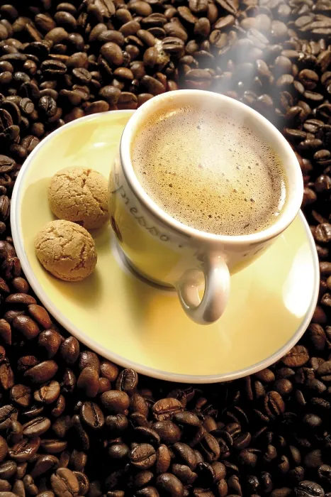 Gerahmter Druck : Kaffeebecher auf einem Bett aus Kaffeebohnen Gerahmter Druck : Kaffeebecher auf einem Bett aus Kaffeebohnen
