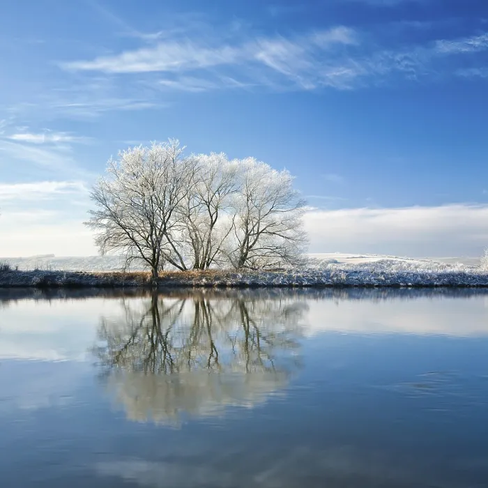 Gerahmter Druck : Kalter Winter Tag am Fluss Saale.