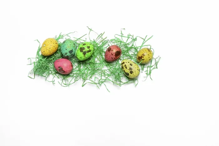Gerahmter Druck : Farbenfrohe Wachtel-Eier mit dekorativer Gras, Ostereier, Deutschland Gerahmter Druck : Farbenfrohe Wachtel-Eier mit dekorativer Gras, Ostereier, Deutschland