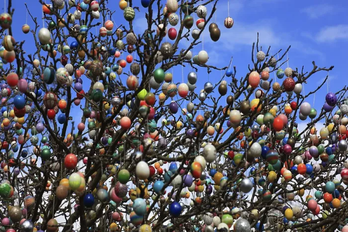 Gerahmter Druck : Viele farbenfrohe Ostereier auf einem Baum. Gerahmter Druck : Viele farbenfrohe Ostereier auf einem Baum.