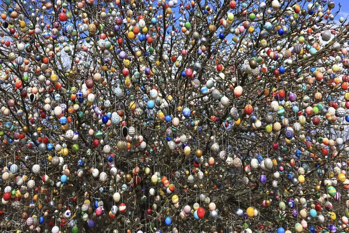 Gerahmter Druck : Viele farbenfrohe Ostereier auf einem Baum. Gerahmter Druck : Viele farbenfrohe Ostereier auf einem Baum.