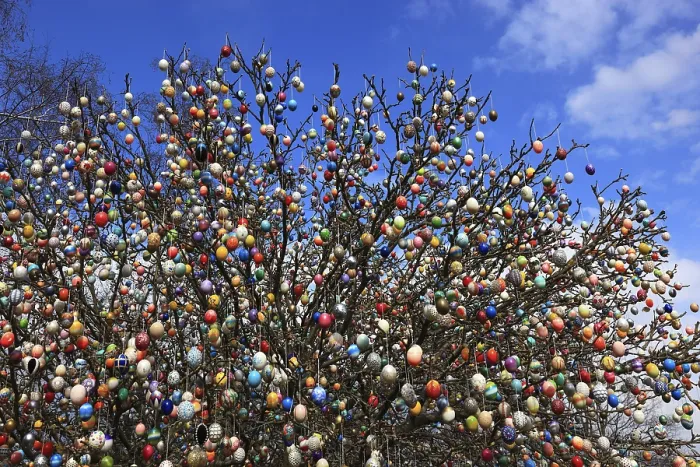 Gerahmter Druck : Viele farbenfrohe Ostereier auf einem Baum Gerahmter Druck : Viele farbenfrohe Ostereier auf einem Baum