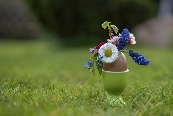 Gerahmter Druck : Ein farbenfrohes Blumenarrangement in einem Ei. Gerahmter Druck : Ein farbenfrohes Blumenarrangement in einem Ei.
