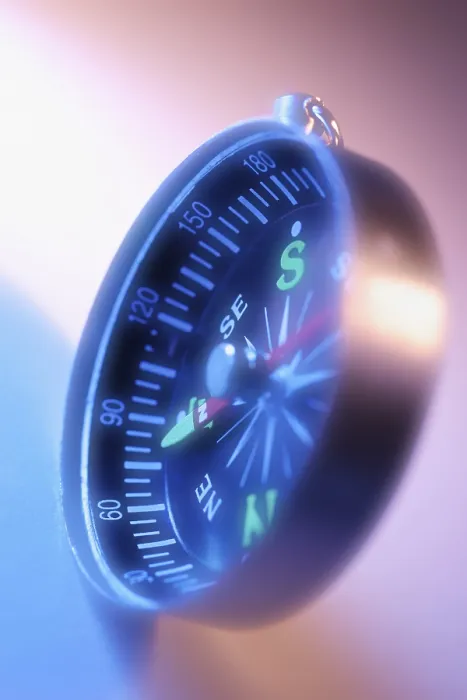 Gerahmter Druck : Compass Gerahmter Druck : Compass