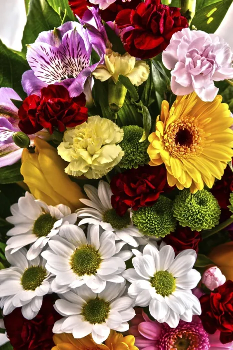 Gerahmter Druck : Komposition mit Blumenstrauß Gerahmter Druck : Komposition mit Blumenstrauß