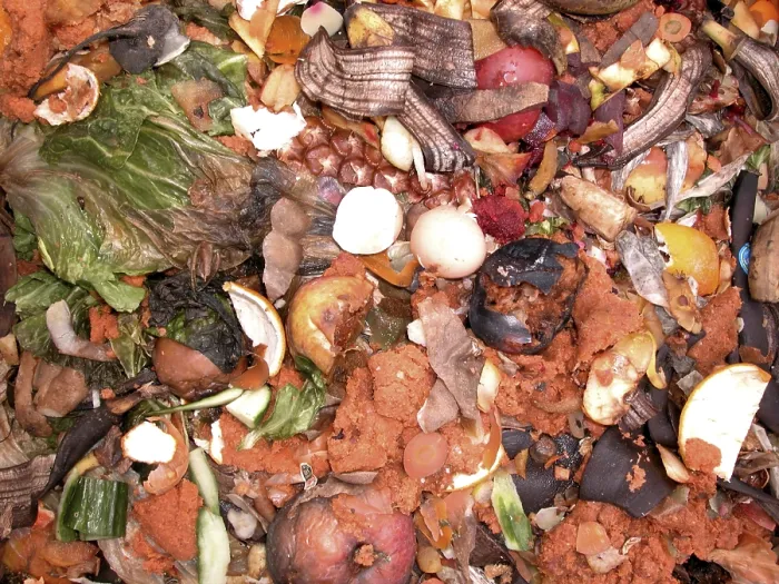 Gerahmter Druck : Compost Gerahmter Druck : Compost
