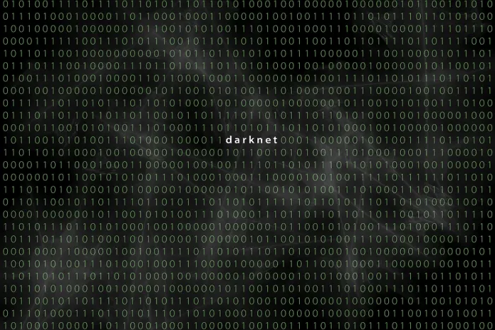 Gerahmter Druck : Computermatrix mit dem Wort Darknet, Deutschland