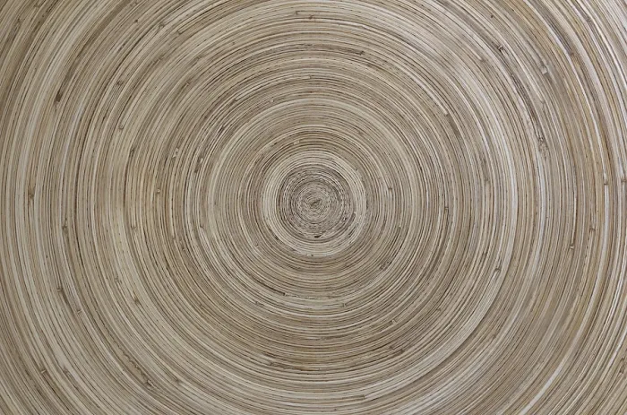 Gerahmter Druck : Konzentrisches Muster aus Holz, mit warmen Tönen und Klarheit.