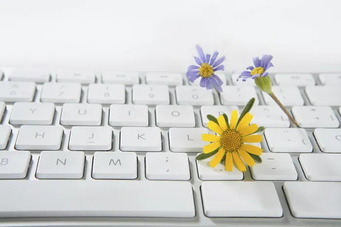 Gerahmter Druck : Konzept von Blumen, die aus einem Computer wachsen. Gerahmter Druck : Konzept von Blumen, die aus einem Computer wachsen.