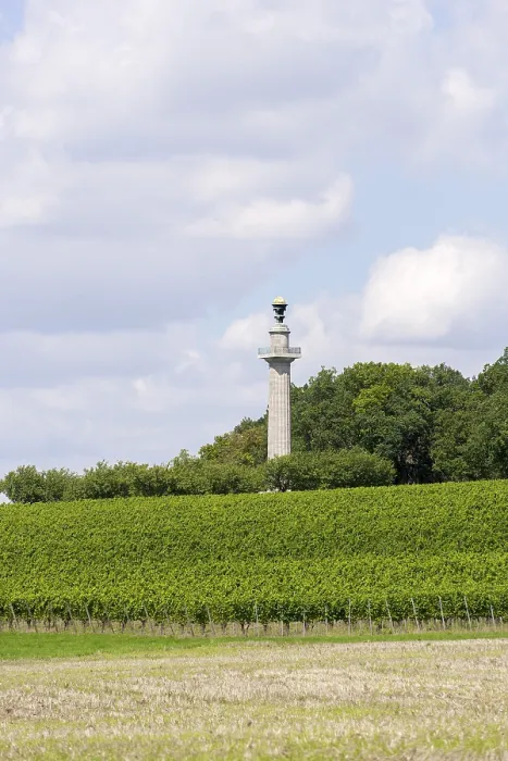 Gerahmter Druck : Verfassungssäule, Gaibach, Feld Gerahmter Druck : Verfassungssäule, Gaibach, Feld