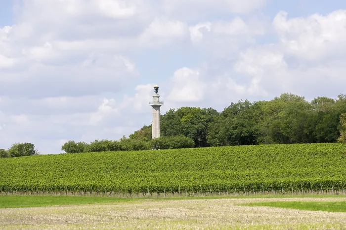 Gerahmter Druck : Verfassungs-Säule, Gaibach, Feld Gerahmter Druck : Verfassungs-Säule, Gaibach, Feld