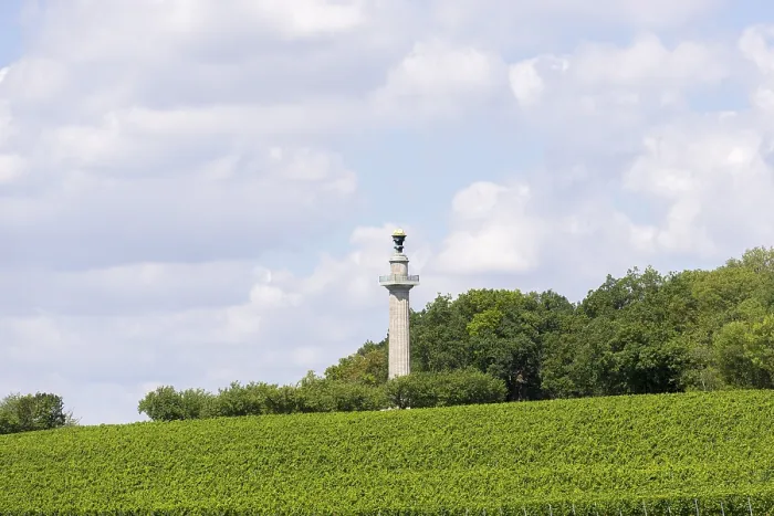 Gerahmter Druck : Verfassungssäule, Gaibach, Weinberg Gerahmter Druck : Verfassungssäule, Gaibach, Weinberg