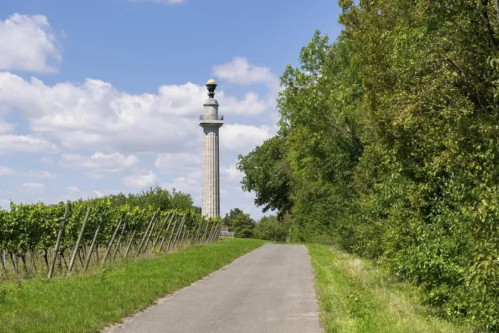 Gerahmter Druck : Weinberg mit Weinsäule, Gaibach, Weg der Konstitution, Gaibach Gerahmter Druck : Weinberg mit Weinsäule, Gaibach, Weg der Konstitution, Gaibach
