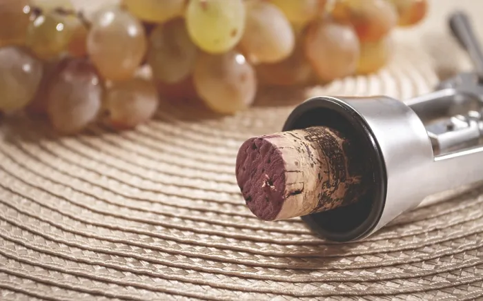 Gerahmter Druck : Ein Korkenzieher mit einem Weinschraubverschluss. Gerahmter Druck : Ein Korkenzieher mit einem Weinschraubverschluss.