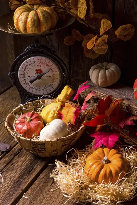 Gerahmter Druck : Cornucopia Gerahmter Druck : Cornucopia