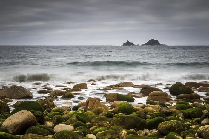 Gerahmter Druck : Cornwall-Landschaft mit Moos über Felsen. Gerahmter Druck : Cornwall-Landschaft mit Moos über Felsen.