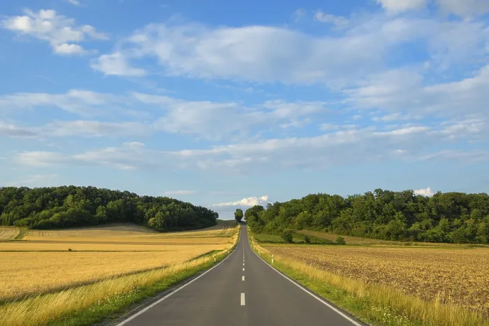 Gerahmter Druck : Landstraße mit Getreidefeldern im Sommer. Gerahmter Druck : Landstraße mit Getreidefeldern im Sommer.