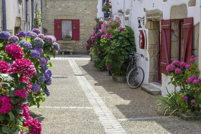 Gerahmter Druck : Innenhof mit Blumen, Hydranien. Gerahmter Druck : Innenhof mit Blumen, Hydranien.