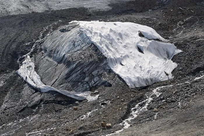Gerahmter Druck : Gedeckter Schnee des Weißenferners Gerahmter Druck : Gedeckter Schnee des Weißenferners