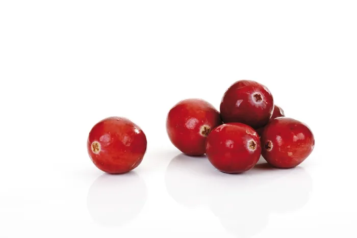 Gerahmter Druck : Cranberries Gerahmter Druck : Cranberries
