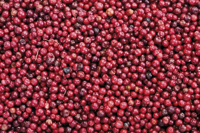 Gerahmter Druck : Kranbeeren, Vollformat. Gerahmter Druck : Kranbeeren, Vollformat.