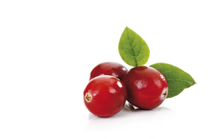 Gerahmter Druck : Kranbeeren mit Blättern Gerahmter Druck : Kranbeeren mit Blättern