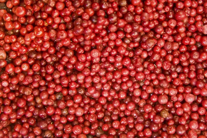 Gerahmter Druck : Cranberrys Gerahmter Druck : Cranberrys
