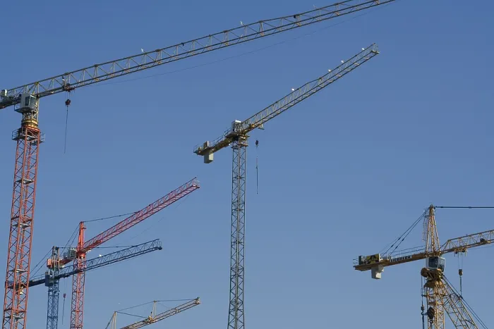 Gerahmter Druck : Cranes Gerahmter Druck : Cranes