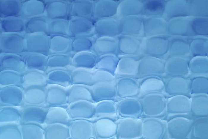 Gerahmter Druck : Kreative Kunst Eiskalter Blau Gerahmter Druck : Kreative Kunst Eiskalter Blau