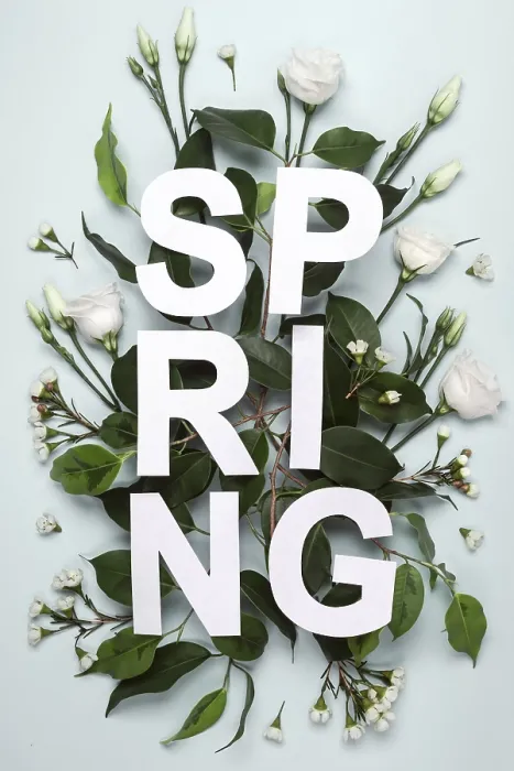Gerahmter Druck : Kreatives Layout von Paper word Spring.