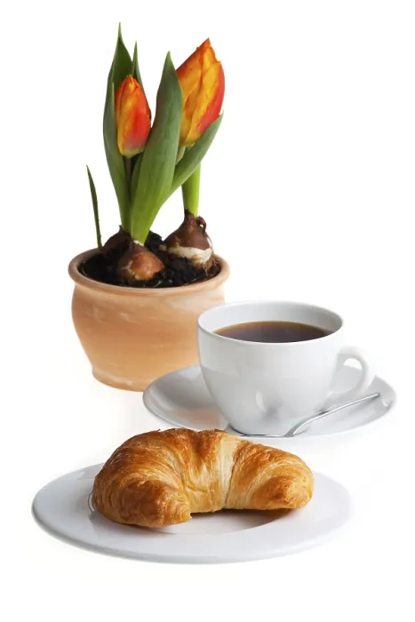 Gerahmter Druck : Croissant und ein Becher Kaffee. Gerahmter Druck : Croissant und ein Becher Kaffee.