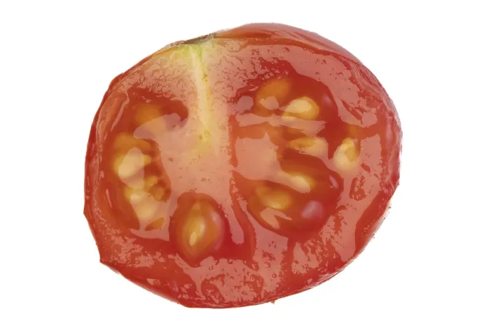Gerahmter Druck : Querschnitt eines Cocktail-Tomaten Gerahmter Druck : Querschnitt eines Cocktail-Tomaten