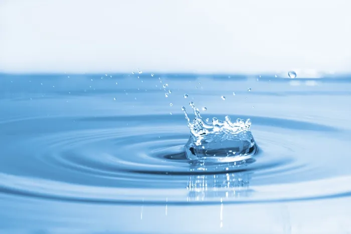 Gerahmter Druck : Kronenförmige Wasserträne. Gerahmter Druck : Kronenförmige Wasserträne.