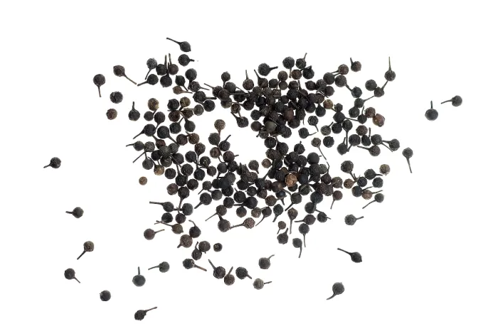 Gerahmter Druck : Kubeb, Pfeffer mit Schwanz oder Java-Pfeffer (Piper cubeba) aus Indonesien. Gerahmter Druck : Kubeb, Pfeffer mit Schwanz oder Java-Pfeffer (Piper cubeba) aus Indonesien.