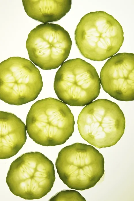 Gerahmter Druck : Zucchini, Zucchini, Scheiben, durchsichtig. Gerahmter Druck : Zucchini, Zucchini, Scheiben, durchsichtig.