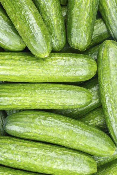 Gerahmter Druck : Erdäpfel Gurken Gurke Gemüse Hintergrund von oben Gerahmter Druck : Erdäpfel Gurken Gurke Gemüse Hintergrund von oben