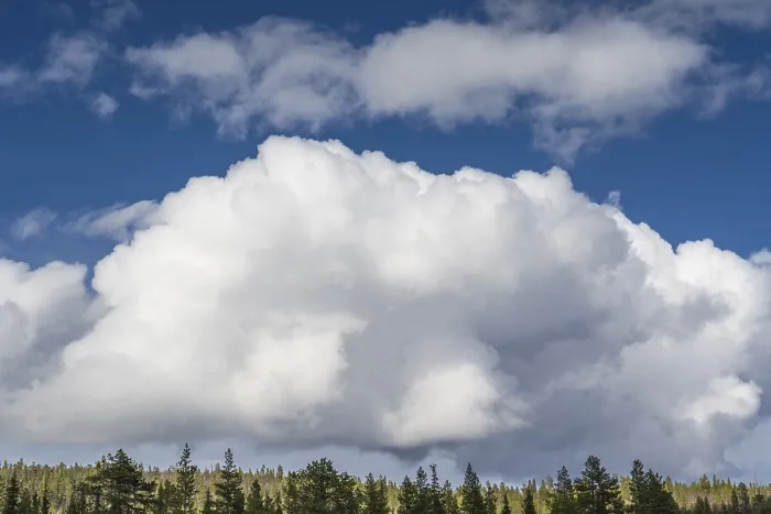 Gerahmter Druck : Cumuluswolken über einem Waldgebiet in Lappland, Schweden Gerahmter Druck : Cumuluswolken über einem Waldgebiet in Lappland, Schweden