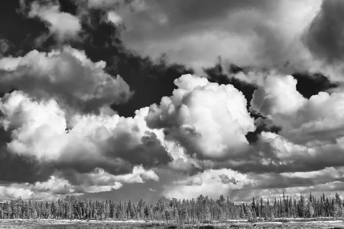 Gerahmter Druck : Cumuluswolken über einem Waldgebiet, Muddus-Nationalpark, Laponia Weltkulturerbe, Lappland, Schweden Gerahmter Druck : Cumuluswolken über einem Waldgebiet, Muddus-Nationalpark, Laponia Weltkulturerbe, Lappland, Schweden