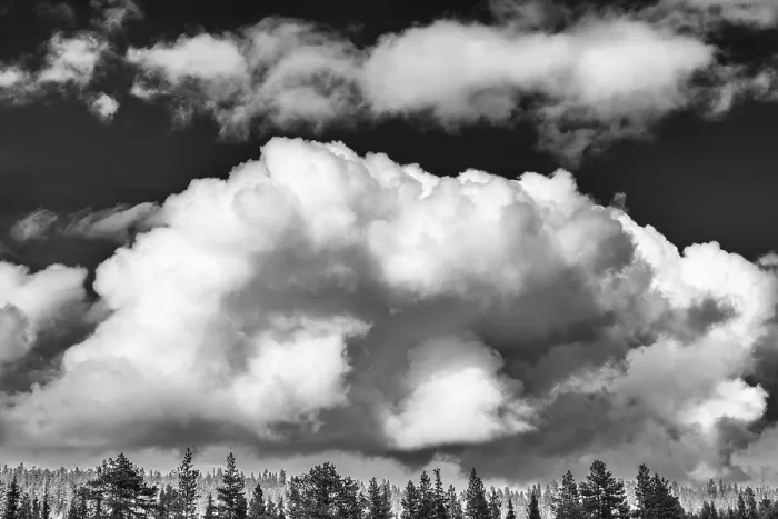 Gerahmter Druck : Cumuluswolken über einem Waldgebiet in Lappland, Schweden Gerahmter Druck : Cumuluswolken über einem Waldgebiet in Lappland, Schweden