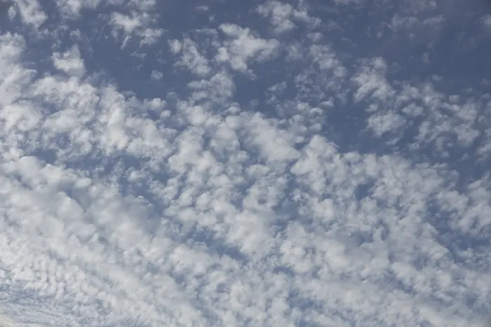 Gerahmter Druck : Weißer Cumulusbewölkung in einem blauen Himmel, England, Vereinigtes Königreich Gerahmter Druck : Weißer Cumulusbewölkung in einem blauen Himmel, England, Vereinigtes Königreich