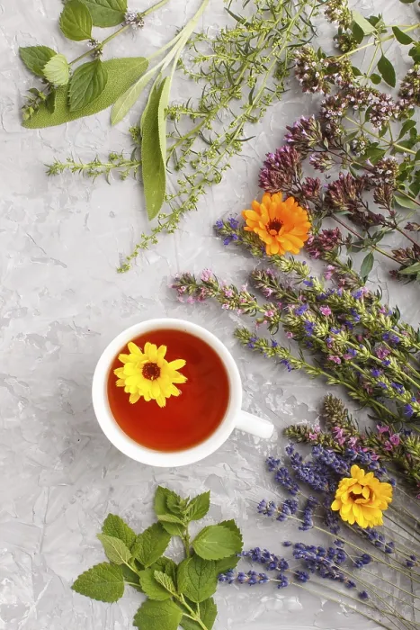 Gerahmter Druck : Tasse Kräutertee mit Calendula. Gerahmter Druck : Tasse Kräutertee mit Calendula.