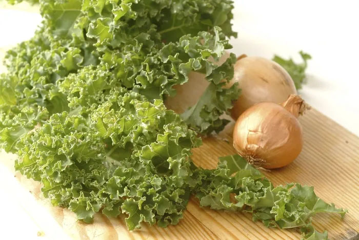 Gerahmter Druck : Kurles Kresse Gerahmter Druck : Kurles Kresse
