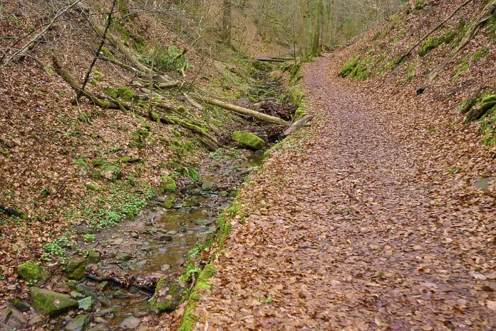 Gerahmter Druck : Ein gekrümmter Waldweg entlang eines kleinen Baches. Gerahmter Druck : Ein gekrümmter Waldweg entlang eines kleinen Baches.