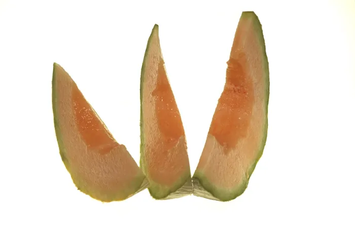 Gerahmter Druck : Charentais-Melone schneiden. Gerahmter Druck : Charentais-Melone schneiden.
