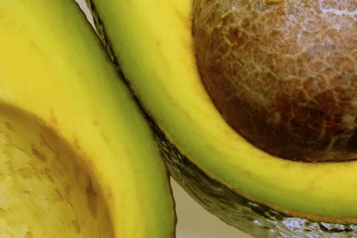 Gerahmter Druck : Cut Avocado Aufgeschnittener Avocado Gerahmter Druck : Cut Avocado Aufgeschnittener Avocado