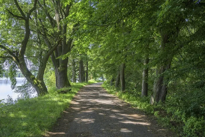 Gerahmter Druck : Radweg vorbei an den Fischteichen. Gerahmter Druck : Radweg vorbei an den Fischteichen.