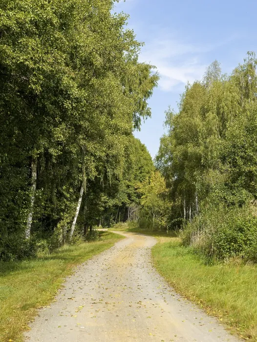 Gerahmter Druck : Radweg und Sandweg, Schlepzig. Gerahmter Druck : Radweg und Sandweg, Schlepzig.
