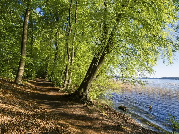 Gerahmter Druck : Rad- und Fußweg am Schweriner See.