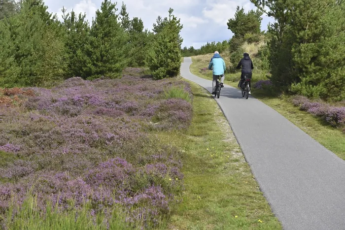 Gerahmter Druck : Radfahren in Dänemark Gerahmter Druck : Radfahren in Dänemark